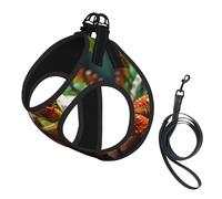 Cute Chameleon Print Dog Harness with Leash Set with Thickened Padded Vest for Extra-Small/Small Medium Dogs