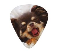 Cute Chihuahua Dog Animal,12 Pcs Guitar Pick,3 Different Thickness Plectrums for Acoustic Guitar Bass Ukulele (0.46mm 0.96mm 0.71mm)
