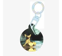 Cute Chihuahua Pet ID Tag Dog Cat Tags Personalized Fashionable, Round Many Colors, Acrylic Material, for Small & Large Pets Sky Blue Medium