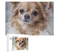 Cute Chihuahua Princess Puzzle Wood Jigsaw Puzzles 300 PCS