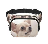 Cute Chihuahua Print Fashion Waist Packs Square Layer Waist Bag Black Belt Bag with Adjustable Strap, Black, One Size