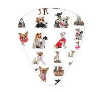 Cute Chihuahua Pug Pattern 12 Pcs Guitar Picks, 3 Thickness Includes 0.46mm, 0.71mm, 0.96mm, With Organizer Storage Box