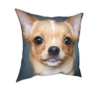 Cute Chihuahua Throw Pillow Covers Cushion Case Polyester Home Decorative 16"X16" Square for Couch Living Room Bedroom Car