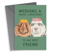 Cute Christmas Card - Merry Christmas To My Best Friend - Guinea Pigs