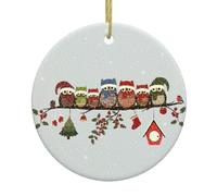 Cute Christmas Owls on Branch Print Christmas Tree Ceramic Round Hanging Ornaments,Xmas Decoration DIY Keepsake 2025