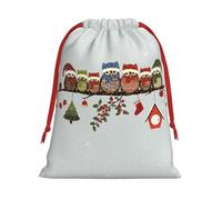 Cute Christmas Owls On Branch Print Present Bag, Reusable Organizer For Holiday Celebrations, Xmas Party Favors