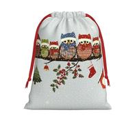 Cute Christmas Owls on Branch print Super soft velvet Christmas bag, fit for Halloween promotion and daily storage