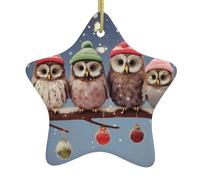 Cute Christmas Owls On Branchmulti-Scenario Printed Christmas Ceramic Star-Shaped Decorative Pendant