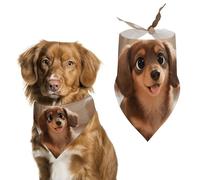 Cute Colored Coffee Dachshund Dog Bandana, Soft Breathable Pet Scarf, Personalized Dog Bib Kerchief for Small Medium Large Dogs Cats, Exquisite Pet Neckerchief for Daily Wear, Travel, Party