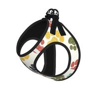 Cute Colorful Dog Paw Print Dog Harness and Leash Set,Breathable Adjustable Escape Proof Vest for Cats Dogs