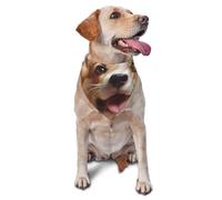 Cute Corgi Dog Bandana Pet Scarf Accessories for Small Medium Dogs Cats Photo Prop, Triangle Pet Bandanas Adjustable Puppy Bib Washable Dog Kerchief Puppy Neckerchief