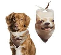 Cute Corgi Dog Bandana, Triangle Pet Scarf | Adjustable washable pet scarves, stylish soft girl boy dog scarf kerchief bibs for small medium large cat dog scarves gifts