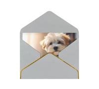 Cute Corgi Luxury Pearl Paper Greeting Card With Gold Border, Blank Inside, With Envelope - Birthday, Wedding, Christmas, Valentine