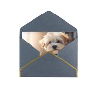 Cute Corgi Luxury Pearl Paper Greeting Card With Gold Border, Blank Inside, With Envelope - Birthday, Wedding, Christmas, Valentine