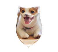 Cute Corgi Print,Bib Scarf Triangle Hood Adjustable Pet Scarf Washable Hood Suitable for Small, Medium and Large Dogs and Cats