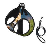 Cute Corgi Print Pet Vest Harnesses Leash Set Reflective Puppy Vest Dogs Walking Training Dog Harness