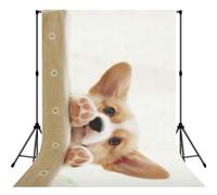 Cute Corgi Print Photo Studio Background 5x7ft Soft Photo Backdrop Curtain For Studio Content Creator Equipment