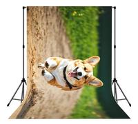 Cute Corgi Print Photo Studio Background 5x7ft Soft Photo Backdrop Curtain For Studio Content Creator Equipment