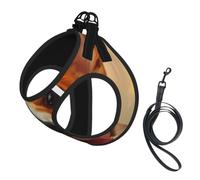 Cute Corgi Print Reflective No Choke Pet Vest Harness,Adjustable Soft Padded Dog Harness With Easy Control Handle