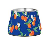 Cute Cornelian Cherry Fruit Royal Blue Raised Pets Water Bowl Elevated Stainless Steel Cats Food Bowl for Slow Feed Cats Whisker Friendly