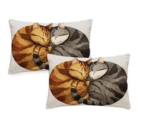 Cute Cushions Waterproof Rectangular Cushion Covers 30x50 cm 2 Pack Throw Pillow Covers Cat Double Sided Printed Velvet Sofa Pillow Cases for Garden Patio Bench Couch Indoor Autumn Decor,gift z-276