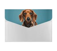 Cute Dachshound Dogs File Folder 6-Pocket, Waterproof Accordion File Organizer with Snap Closure, Expanding Document Holder for Office, Home