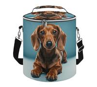 Cute Dachshound Dogs Lunch Bag, 15L Portable Leakproof Picnic Basket with Shoulder Strap, Insulated Picnic Cooler Bag for Camping, Beach, Hiking & Groceries