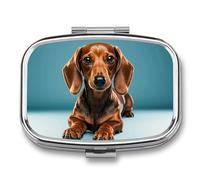 Cute Dachshound Dogs Pill Box 2 Compartment - Small Metal Medicine Organizer Portable Pill Case for Purse Pocket Travel Vitamin Organizer for Men Women, BPA-Free