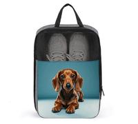 Cute Dachshound Dogs Shoe Bag Waterproof & Breathable Shoe Pouch for Travel, Portable Carry Case for Sports Sneakers, Gym, Vacation