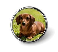 Cute Dachshund Badges Pin, Personalized Exquisite Round Badge, 1 Inch Button Pins for Women And Men, Decorative Metal Round Brooch for Clothing, Backpacks, And Hats