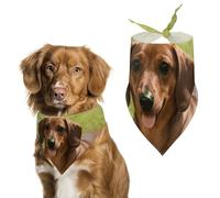 Cute Dachshund Dog Bandana, Soft Breathable Pet Scarf, Personalized Dog Bib Kerchief for Small Medium Large Dogs Cats, Exquisite Pet Neckerchief for Daily Wear, Travel, Party