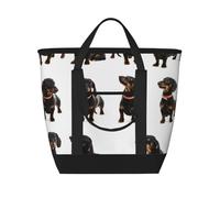 Cute Dachshund Dog Pattern,Lunch Bags Large Capacity Insulated Tote Bag For Women Men Work Picnic Travel