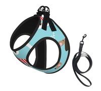 Cute Dachshund Dog Pattern,Pet Harness,Adjustable Reflective Dog Harness,Pet Leash Vest,M