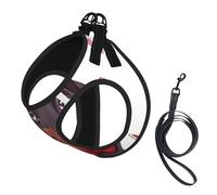 Cute Dachshund Dog Pattern,Pet Harness,Adjustable Reflective Dog Harness,Pet Leash Vest,S