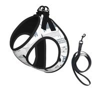 Cute Dachshund Dog Print Small Dog Harness And Leash Set, Adjustable Soft Vest With 360° Reflective Straps For Cats Puppy