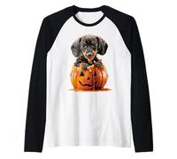 Cute Dachshund Dripping Pumpkin Candy Corn Halloween Dog Pup Raglan Baseball Tee