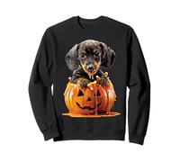 Cute Dachshund Dripping Pumpkin Candy Corn Halloween Dog Pup Sweatshirt