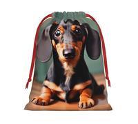 Cute Dachshund Duggee Print Practical Drawstring Gift Travel Pouches Men Women Multiple Occasion Daily Carry