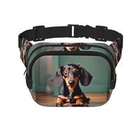 Cute Dachshund Duggee Print Unisex Square Double Layer Waist Bag, Multi-Pocket for Sports Travel Daily Use
