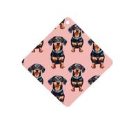 Cute Dachshund Pattern Funny Car Air Fresheners Long Lasting Scent Automotive Hanging Scented Cards Tablets