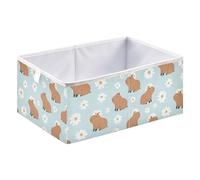Cute Daisy Capybara Cube Storage Boxes 40x27x17 cm Square Bins Collapsible Cube Box Organiser for Organising Clothes