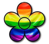 cute DAISY Flower with Gay pride LGBT Rainbow flag motif Vinyl Car Bike Sticker Decal 120x116mm approx.