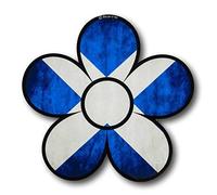 Cute DAISY Flower with Scotland Scottish Saltire flag motif Vinyl Car Bike Sticker Decal 120x116mm approx.