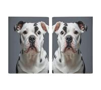 Cute Dalmatian Passport Holder Personalized Passport Wallet for Women Men Travel Document Organizer Holder