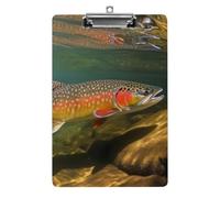 Cute Decorative Acrylic Clipboard, Brook Trout Fly Fishing A4 Standard Letter Size 8.5 x 12.5 Inch Clipboard with Low-Profile Metal Clip, Clip Board for Office, Teachers