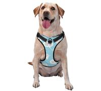 Cute Dentist Dental Hygienist Print Blue,Pet Harness,Adjustable Reflective Dog Harness,Pet Leash Vest,S
