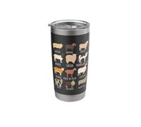 Cute Different Type of Sheep Breed Chart for Lamb Lovers Stainless Steel Insulated Tumbler