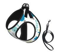 Cute Dinosaur Printing Dog Summer Harness With Leash Set,Adjustable And Reflective Step-In Puppy Pet Vest Harnesses