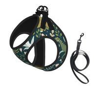 Cute Dinosaur1 print Dog Harness and Leash Set, Reflective Adjustable Puppy Vest for Small Medium Large Dogs, Cats