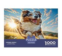 Cute Dog 1000 Pc Puzzle Game for Men Women - Aussie Shepherd (meadow Golden Hour) The Whole Family Activity Educational Game Challenge70x50cm/1000pcs